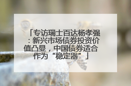 专访瑞士百达杨孝强：新兴市场债券投资价值凸显，中国债券适合作为“稳定器”