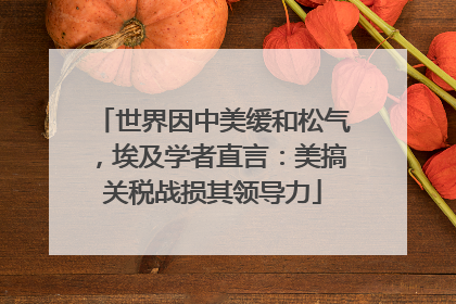 世界因中美缓和松气，埃及学者直言：美搞关税战损其领导力