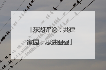 东湖评论：共建家园，思进图强