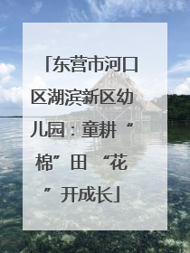 东营市河口区湖滨新区幼儿园：童耕“棉”田 “花”开成长