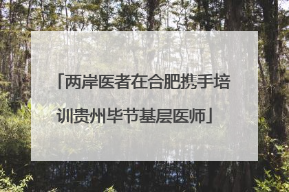 两岸医者在合肥携手培训贵州毕节基层医师