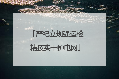 严纪立规强运检 精技实干护电网