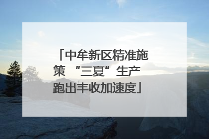 中牟新区精准施策 “三夏”生产跑出丰收加速度