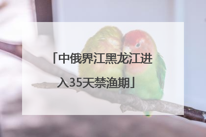 中俄界江黑龙江进入35天禁渔期