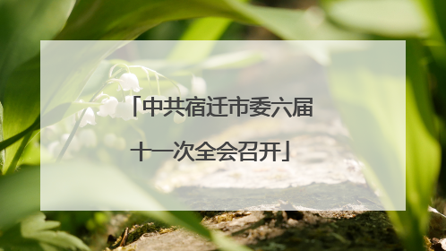 中共宿迁市委六届十一次全会召开