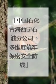 中国石化青海西宁石油分公司：多维度筑牢保密安全防线