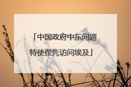 中国政府中东问题特使翟隽访问埃及