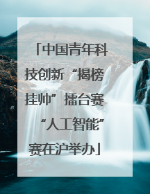 中国青年科技创新“揭榜挂帅”擂台赛“人工智能”赛在沪举办