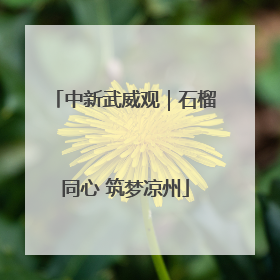中新武威观｜石榴同心 筑梦凉州