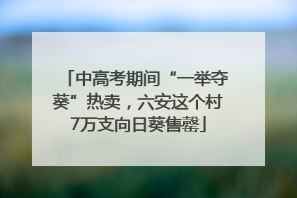中高考期间“一举夺葵”热卖，六安这个村7万支向日葵售罄