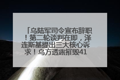 乌陆军司令宣布辞职！第二轮谈判在即，泽连斯基提出三大核心诉求！乌方透露摧毁41架俄战略轰炸机