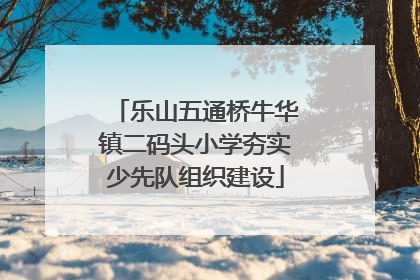 乐山五通桥牛华镇二码头小学夯实少先队组织建设