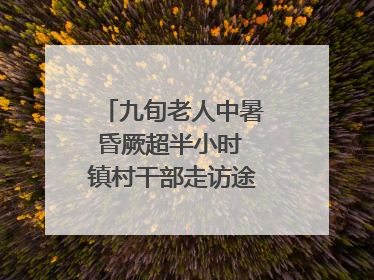 九旬老人中暑昏厥超半小时 镇村干部走访途中发现及时施救｜看见正能量