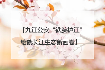 九江公安“铁腕护江”绘就长江生态新画卷