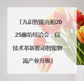 九识智能亮相2025廊坊经洽会：以技术革新推动智能物流产业升级