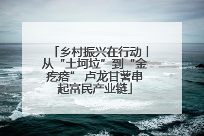 乡村振兴在行动丨从“土坷垃”到“金疙瘩” 卢龙甘薯串起富民产业链