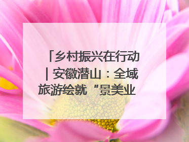 乡村振兴在行动｜安徽潜山：全域旅游绘就“景美业兴民富”新画卷