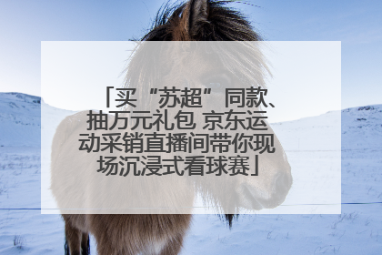 买“苏超”同款、抽万元礼包 京东运动采销直播间带你现场沉浸式看球赛