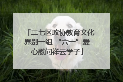 二七区政协教育文化界别一组 “六一”爱心慰问祥云学子