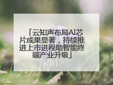 云知声布局AI芯片成果显著，持续推进上市进程助智能终端产业升级