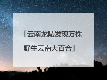 云南龙陵发现万株野生云南大百合