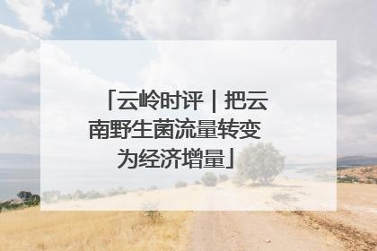 云岭时评｜把云南野生菌流量转变为经济增量