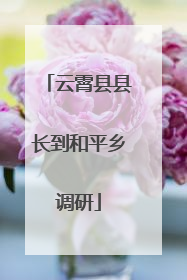 云霄县县长到和平乡调研