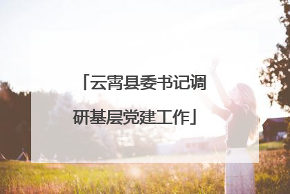 云霄县委书记调研基层党建工作