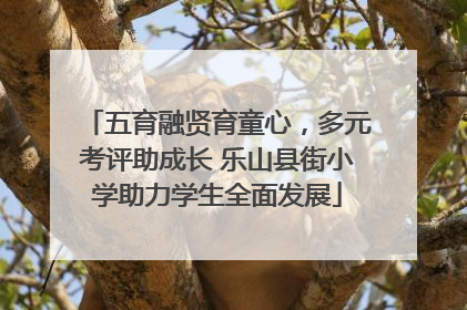 五育融贤育童心，多元考评助成长 乐山县街小学助力学生全面发展