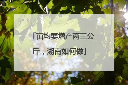亩均要增产两三公斤，湖南如何做