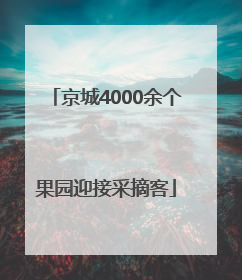 京城4000余个果园迎接采摘客