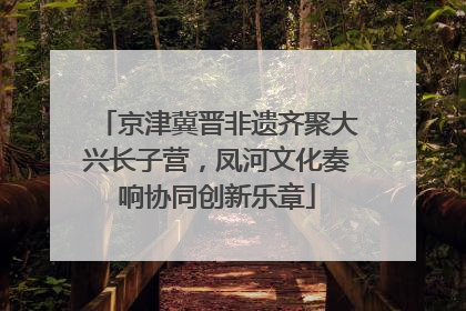 京津冀晋非遗齐聚大兴长子营，凤河文化奏响协同创新乐章