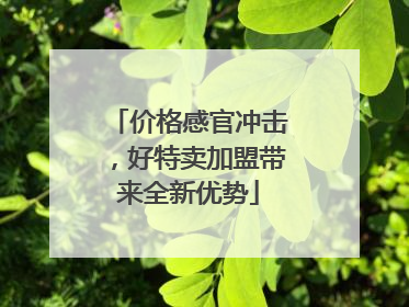 价格感官冲击，好特卖加盟带来全新优势