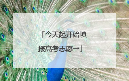 今天起开始填报高考志愿→