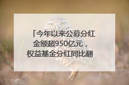 今年以来公募分红金额超950亿元，权益基金分红同比翻倍｜招财猫