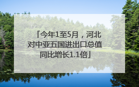今年1至5月，河北对中亚五国进出口总值同比增长1.1倍