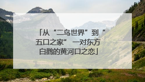 从“二鸟世界”到“五口之家” 一对东方白鹳的黄河口之恋