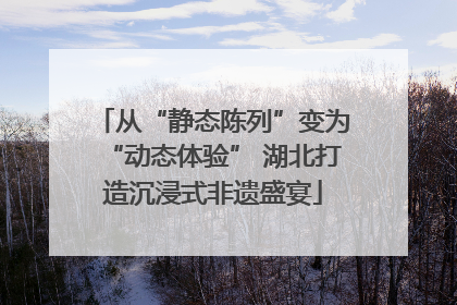 从“静态陈列”变为“动态体验” 湖北打造沉浸式非遗盛宴