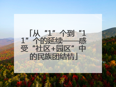 从“1”个到“11”个的延续——感受“社区+园区”中的民族团结情