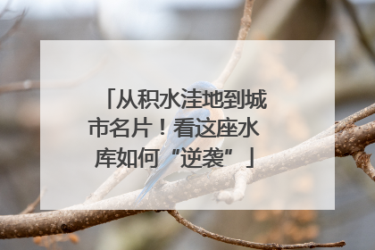 从积水洼地到城市名片！看这座水库如何“逆袭”