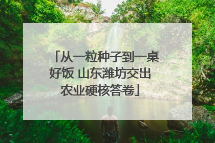 从一粒种子到一桌好饭 山东潍坊交出农业硬核答卷