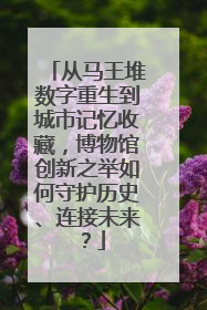 从马王堆数字重生到城市记忆收藏，博物馆创新之举如何守护历史、连接未来？