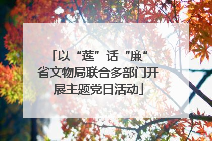 以“莲”话“廉” 省文物局联合多部门开展主题党日活动