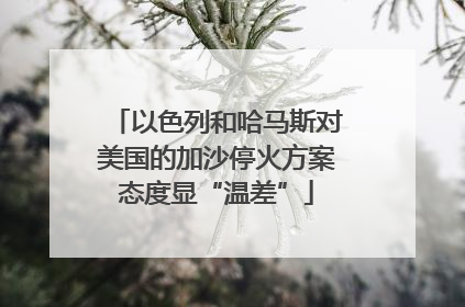 以色列和哈马斯对美国的加沙停火方案态度显“温差”