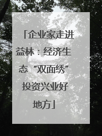 企业家走进益林：经济生态“双面绣” 投资兴业好地方