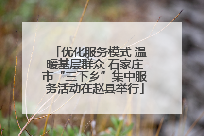 优化服务模式 温暖基层群众 石家庄市“三下乡”集中服务活动在赵县举行