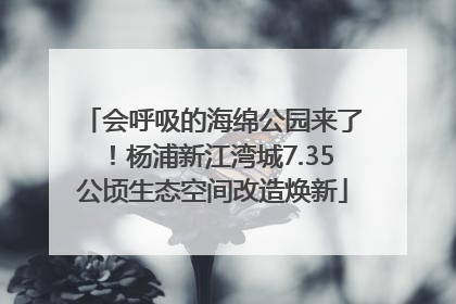 会呼吸的海绵公园来了！杨浦新江湾城7.35公顷生态空间改造焕新