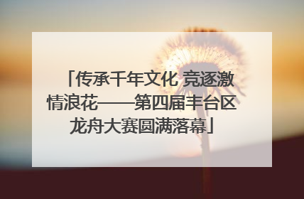 传承千年文化 竞逐激情浪花——第四届丰台区龙舟大赛圆满落幕
