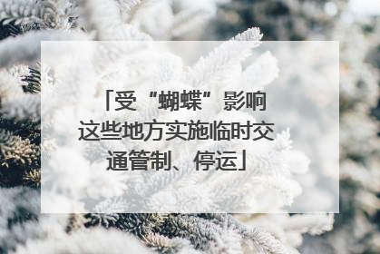 受“蝴蝶”影响 这些地方实施临时交通管制、停运