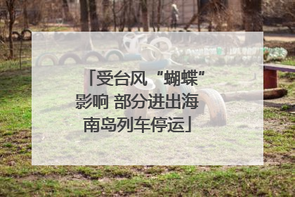 受台风“蝴蝶”影响 部分进出海南岛列车停运